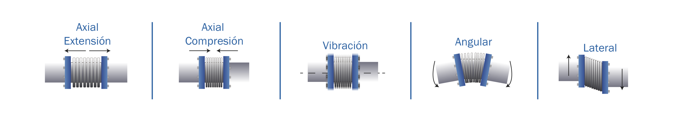 462bd716-faca-482e-abd5-bd4a983c8f1d